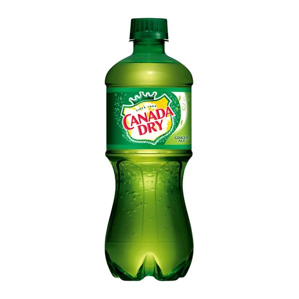 Canada Dry Ginger Ale 20ozBottle